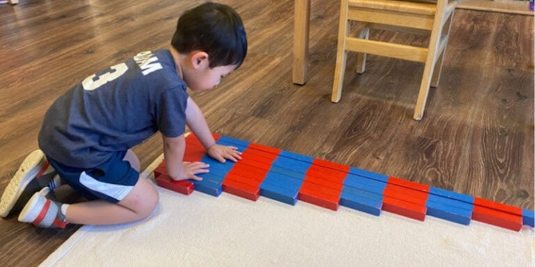 Wonderland Montessori Academy of Las Colinas