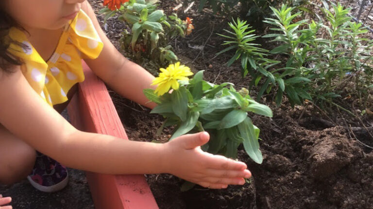 Nature and STEM Kids College LLC Nature and STEM Kids College LLC