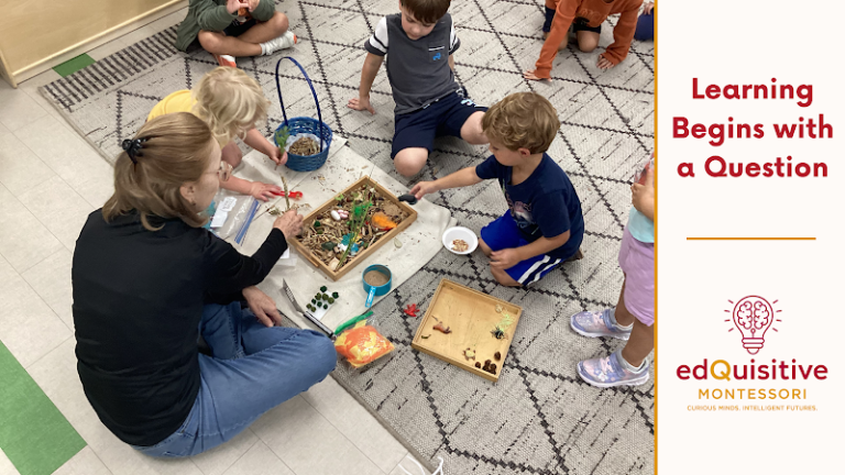 EdQuisitive Montessori of Fair Oaks EdQuisitive Montessori of Fair Oaks